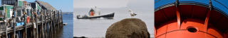 photos from the draft ocean plan