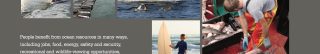 collage from the northeast ocean plan document
