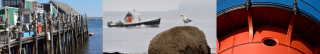 photos from the draft ocean plan